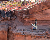 Base Jumping